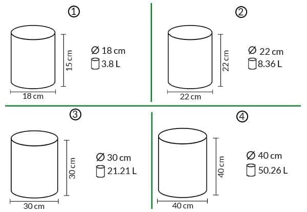 Diagrama bolsa cannabis