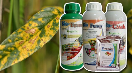 Insecticida de Plantas