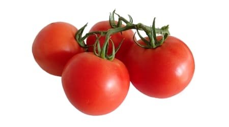 jitomate bola