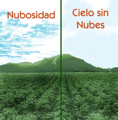 Nubosidad
